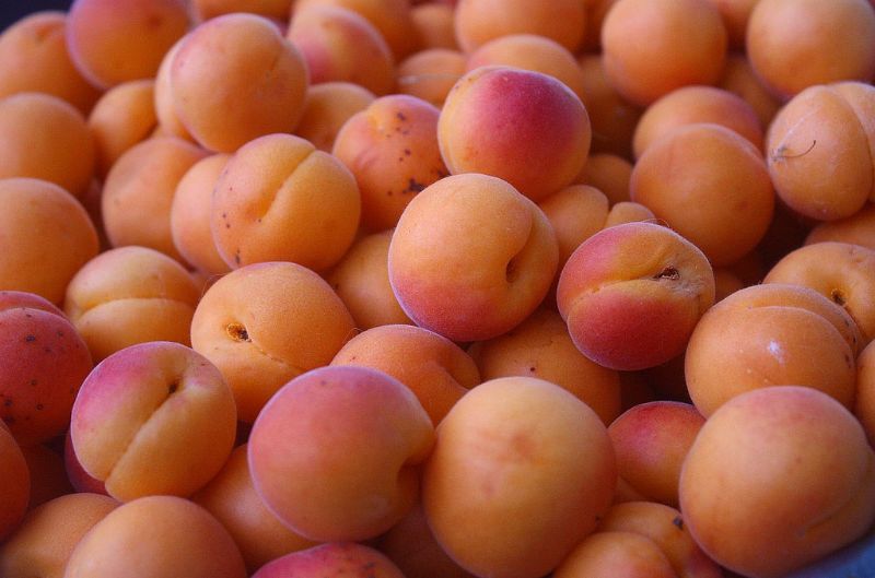 Abricots caramélisés au coulis d’amandes amères