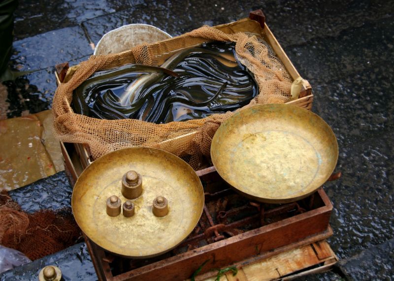 Anguille aux herbes à la poêle