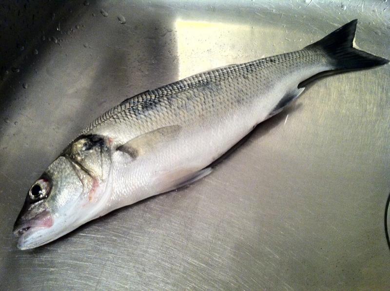 Filet de bar au fenouil