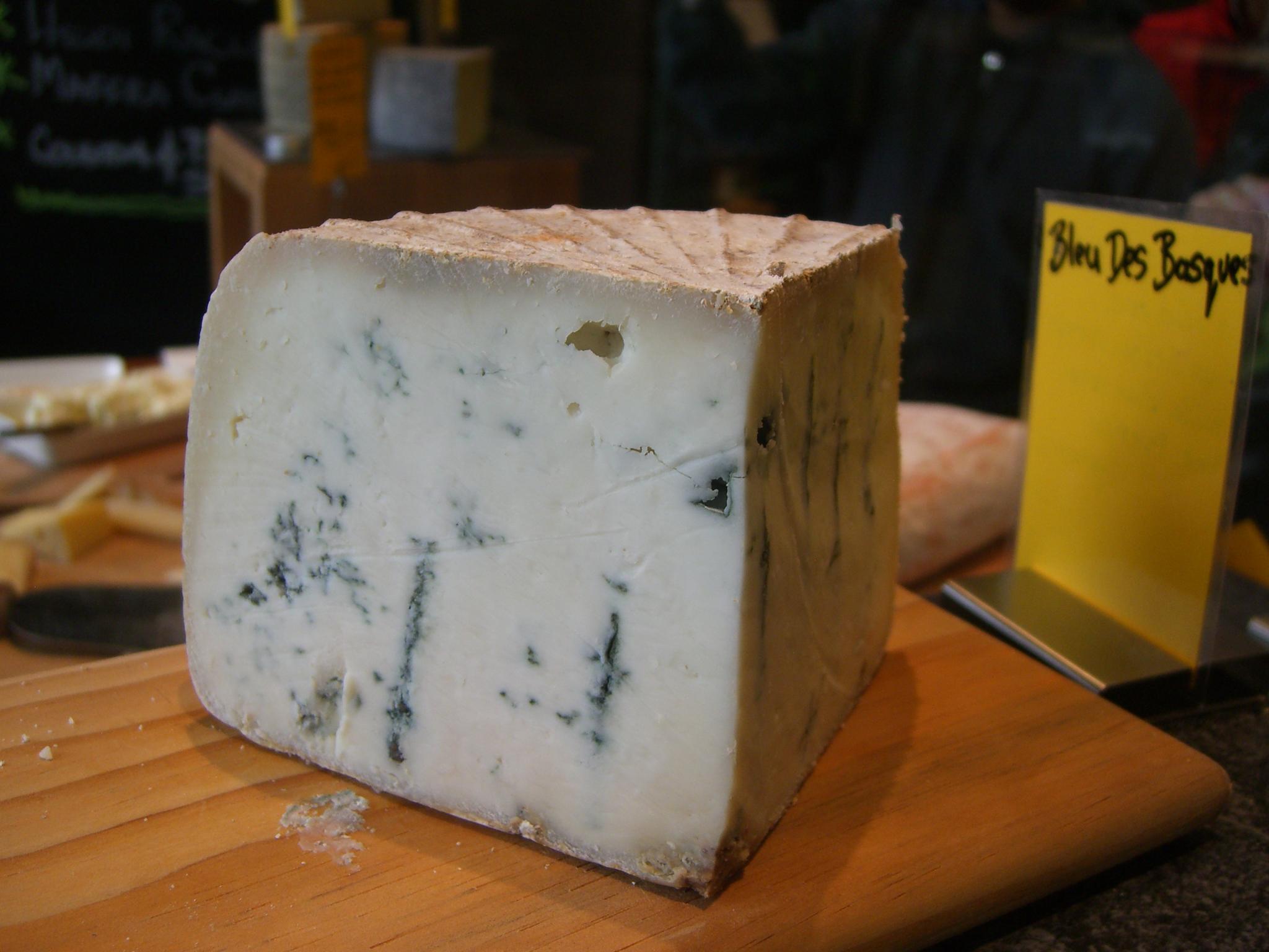 Bleu des basques - Photo de Alpha - 101Pairing.com