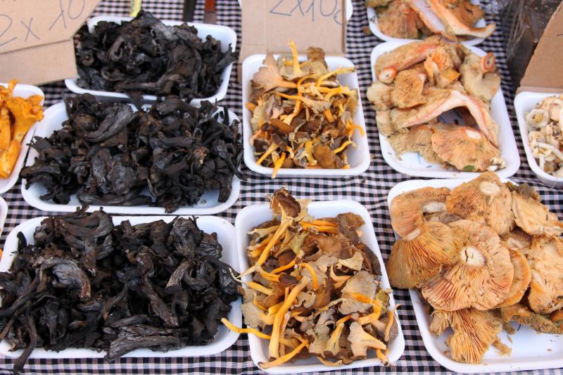 Fricassée de morilles et trompettes de la mort