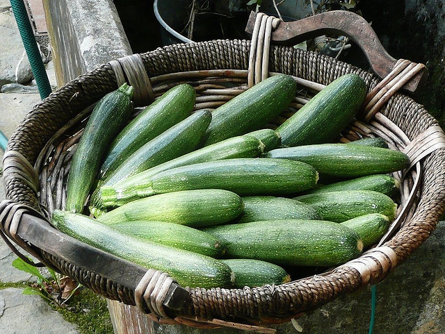 Courgettes à la vapeur