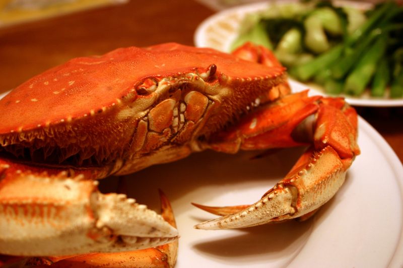 Crabe mayonnaise