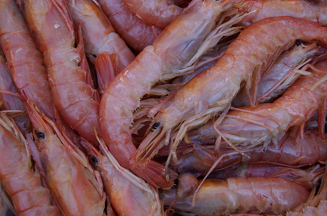 Barquette aux crevettes