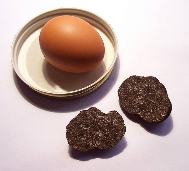 Oeufs pochés à la truffe noire