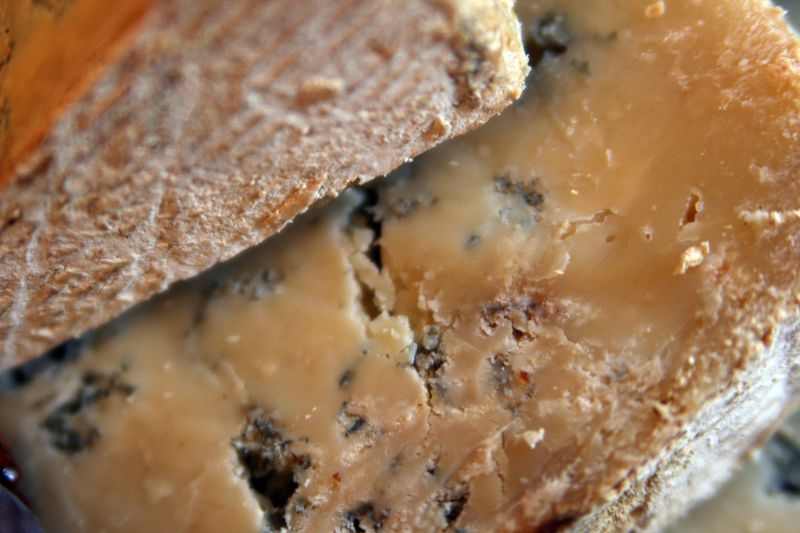 Fromage à pâte persillée