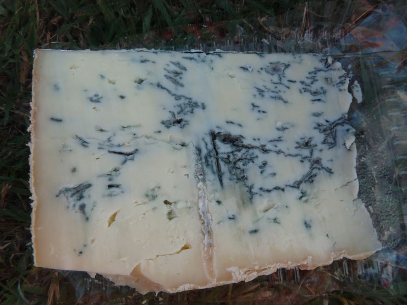 Gorgonzola piccante