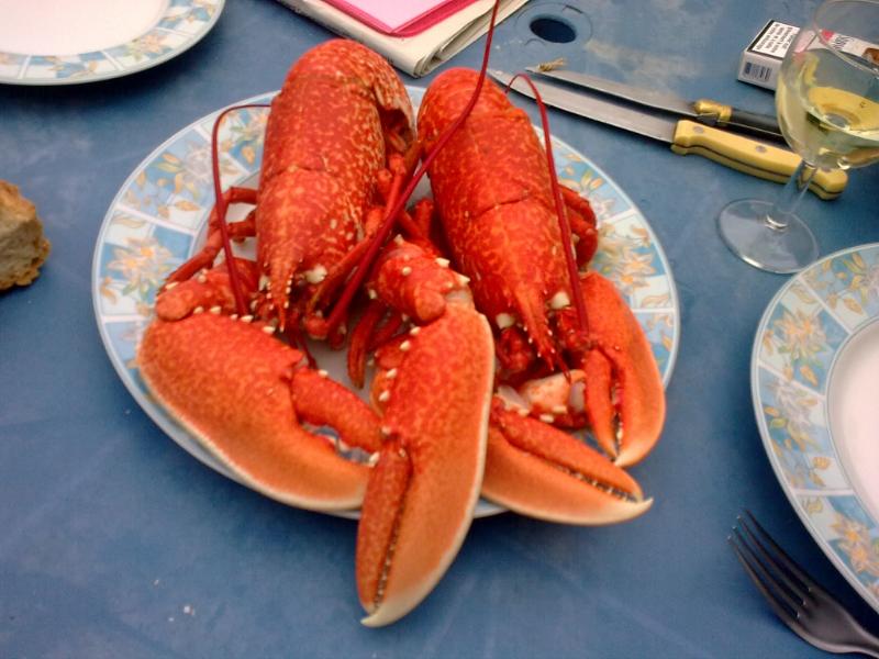 Homard sauce au vin rouge