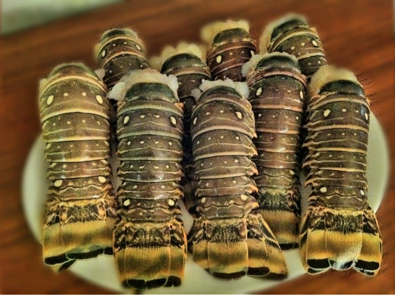 Langouste à l’américaine