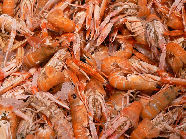 Cassolette de langoustines sauce crème