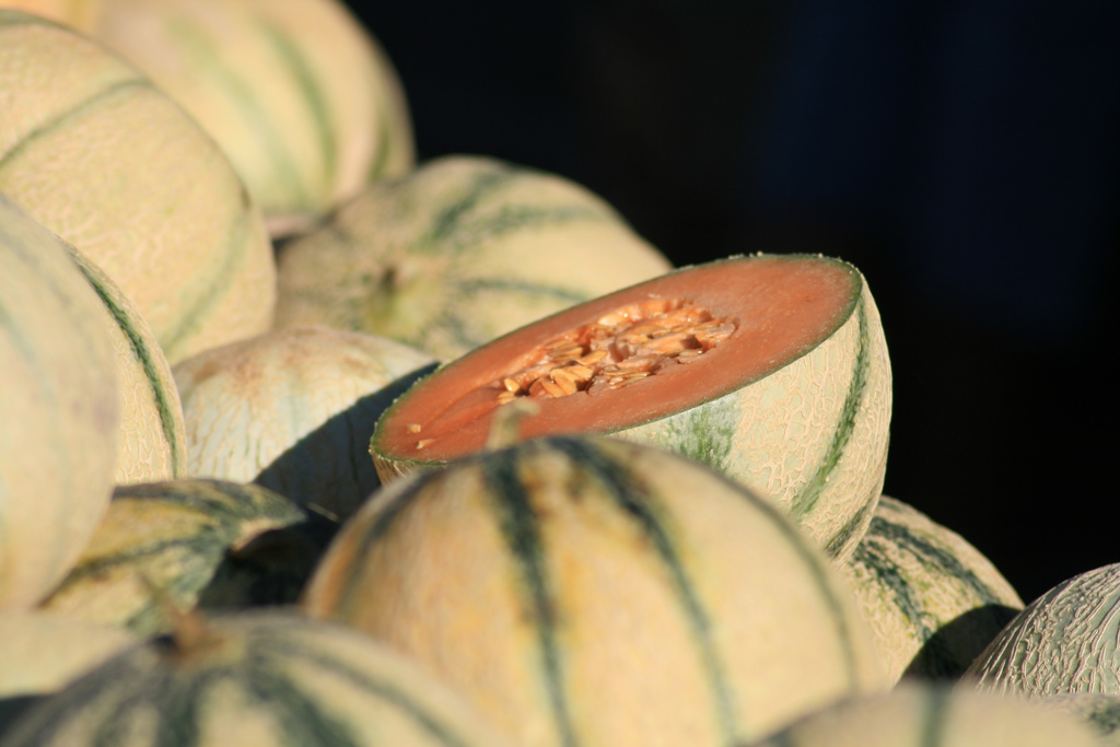 Melon au Macvin du Jura - Photo de jean-louis Zimmermann - 101Pairing.com