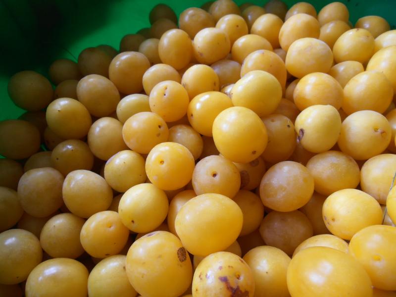 Tarte à la mirabelle et aux amandes