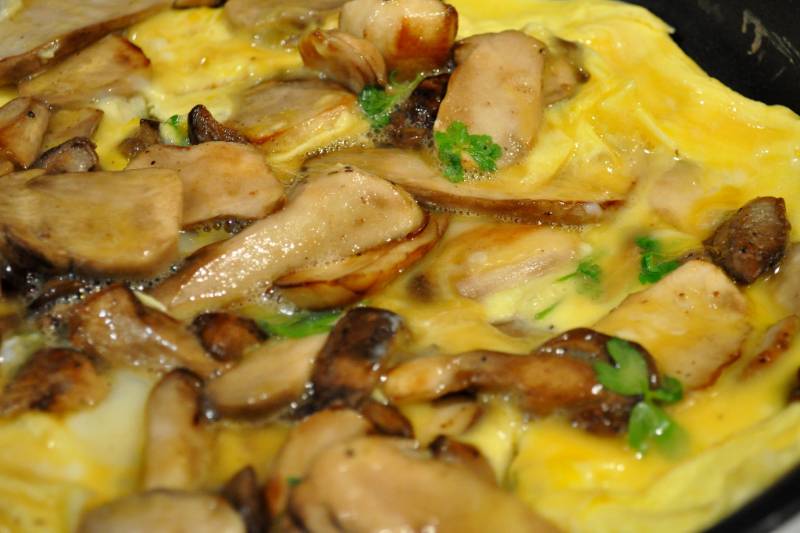 Omelette aux cèpes