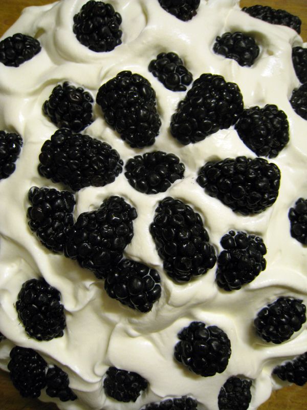 Pavlova aux fruits noirs