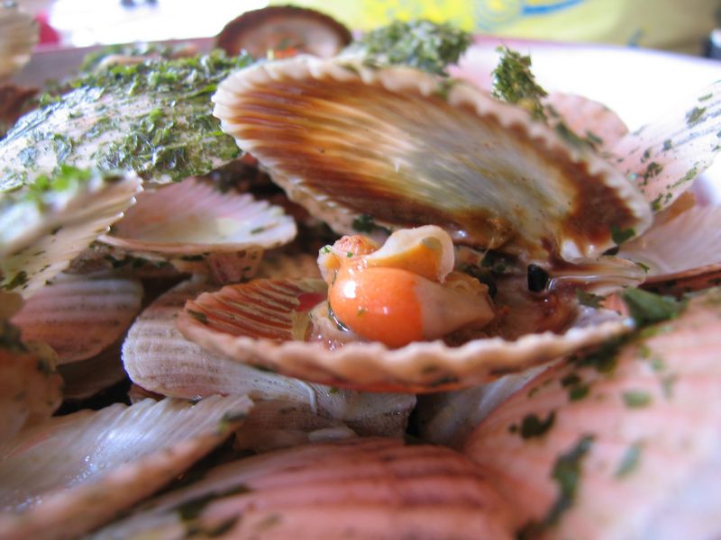 Tarte aux pétoncles et fruits de mer avec une fondue de poireaux