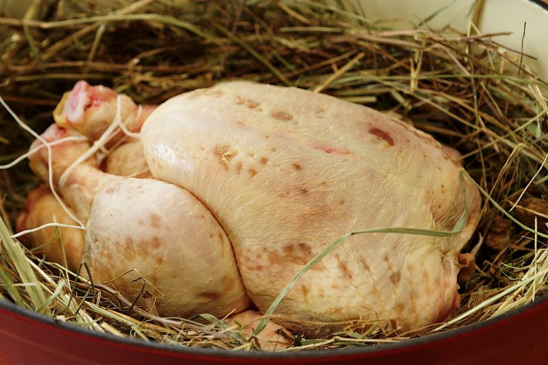 Poulet aux écrevisses