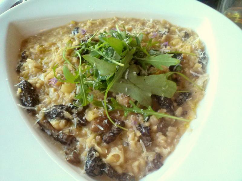 Risotto aux morilles - Photo de Amy Ross - 101Pairing.com