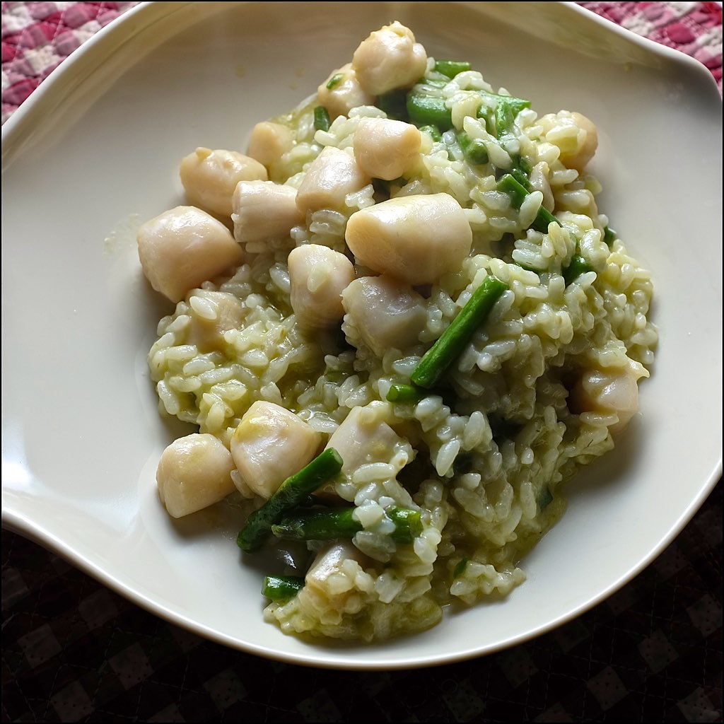 Risotto de pétoncles