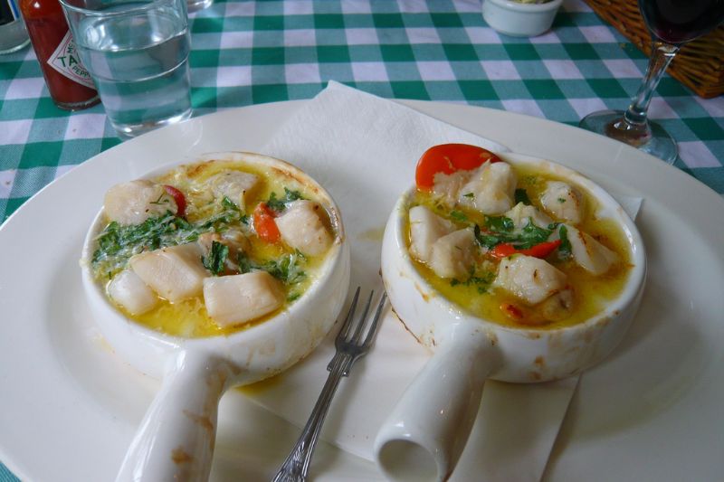 Coquilles Saint-Jacques à la nage