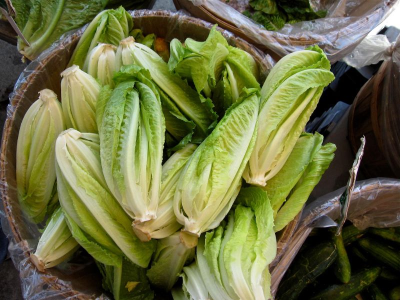 Salade romaine aux croûtons aillés