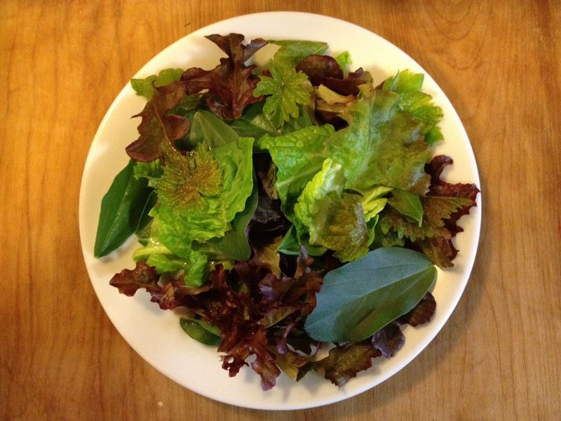 Salade aux pommes et aux noix