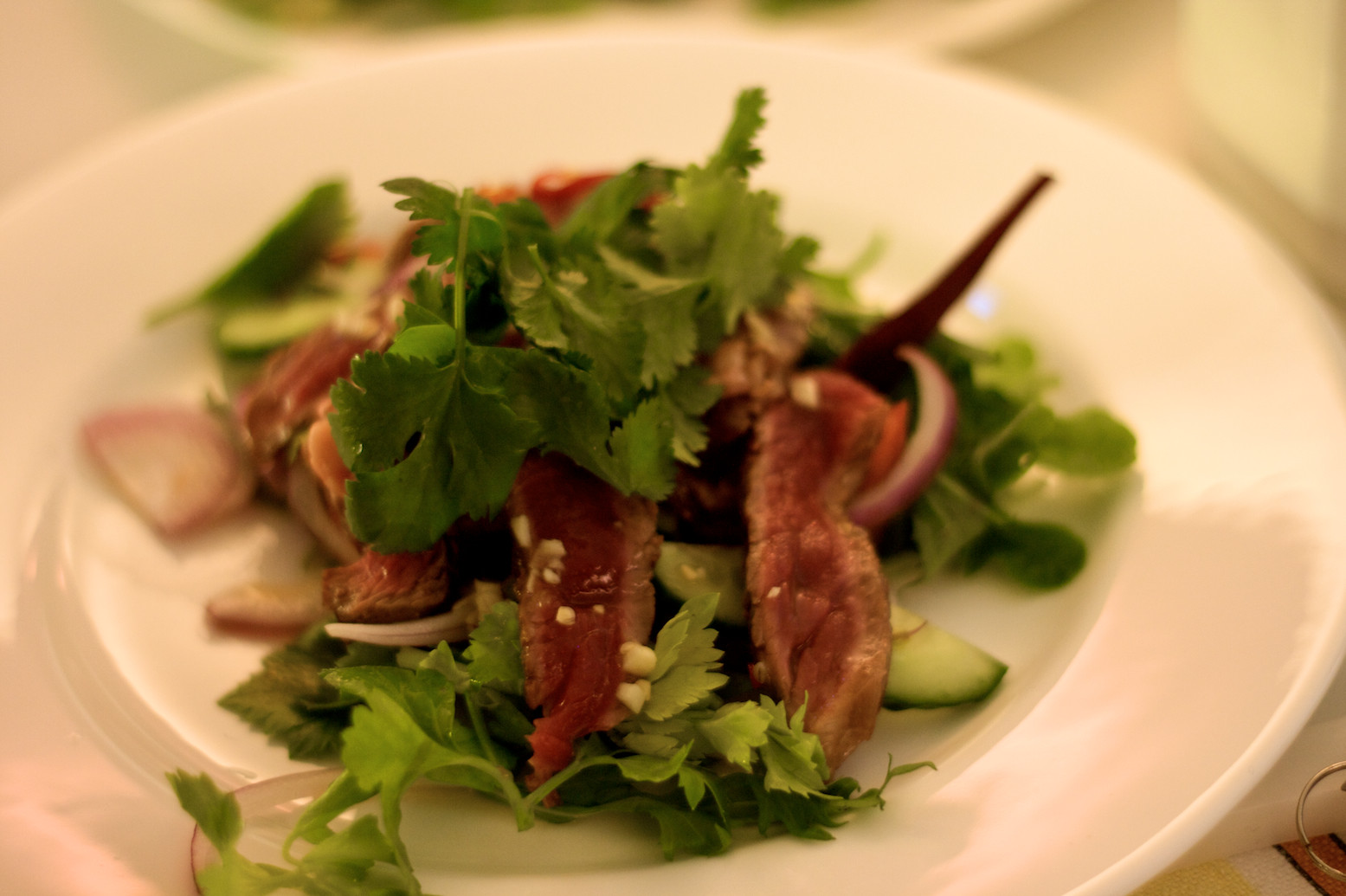 Salade thaïlandaise au bœuf - Photo de Gino Rodrigo - 101Pairing.com