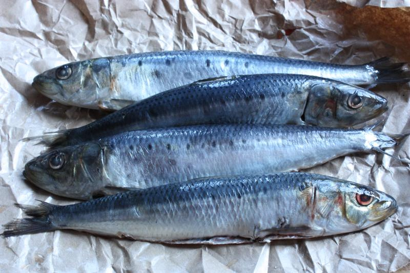 Sardines aux échalotes