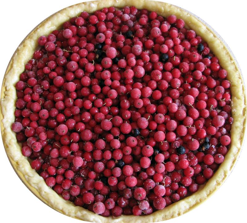 Tarte à la groseille