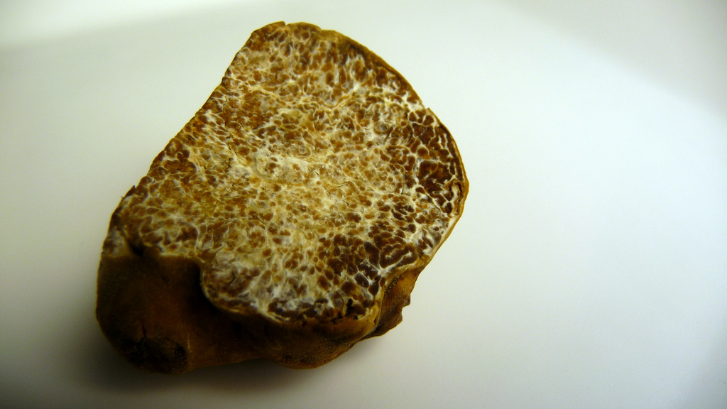 Truffe blanche