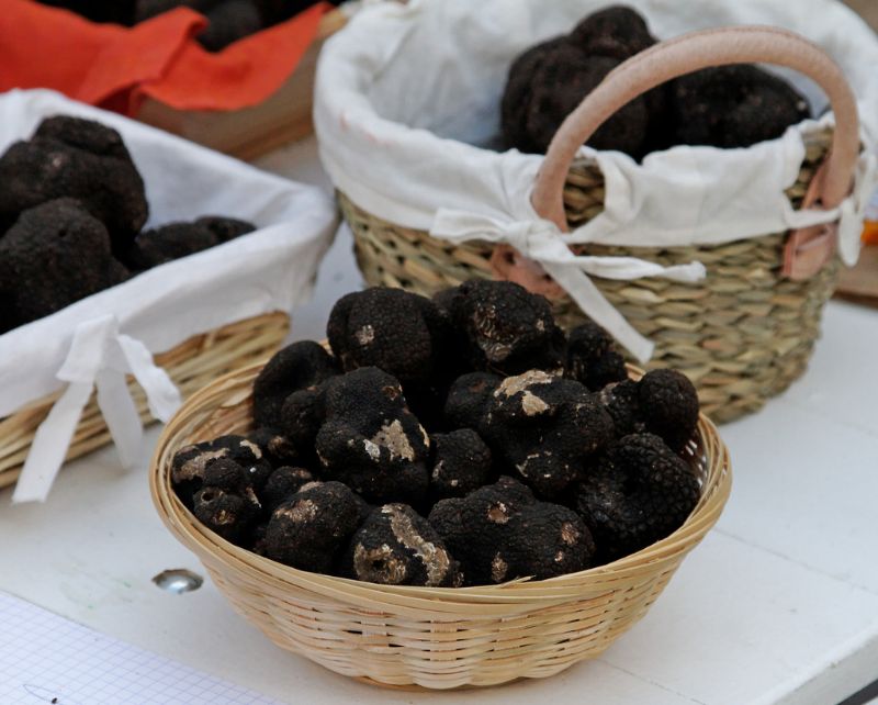 Truffe noire