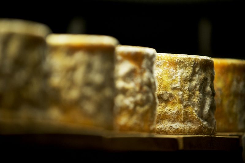 Twig farm goat tomme