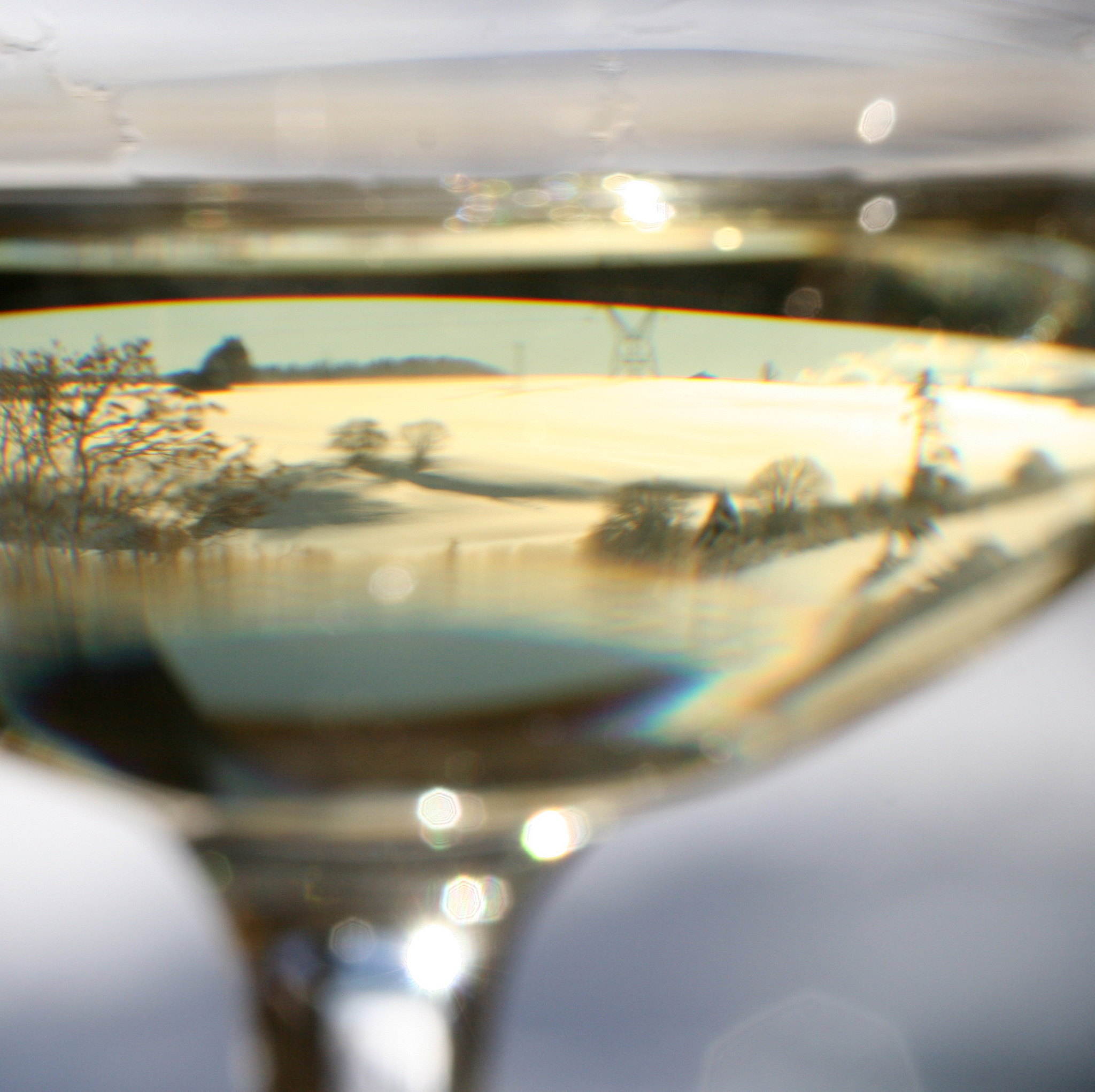 Chablis Blanc Grand cru - Vin Blanc - Photo de jenny downing - 101Pairing.com