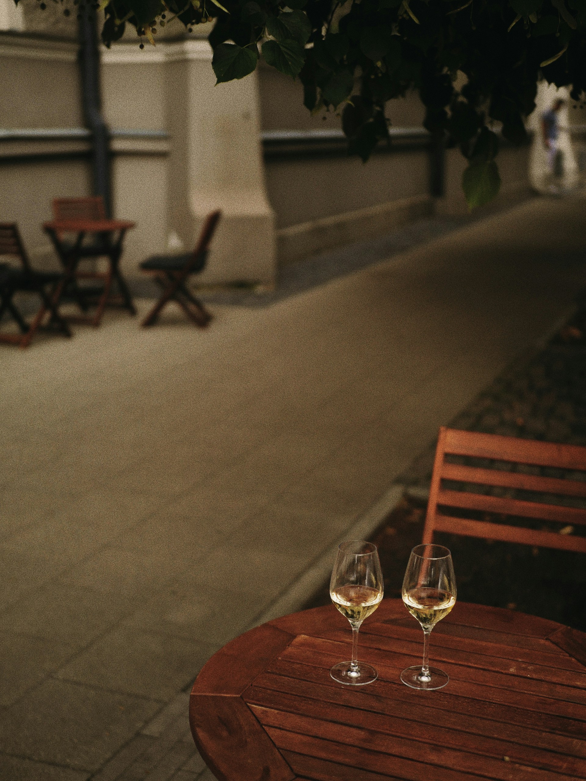 Touraine Blanc   Azay le Rideau - Vin Blanc - Photo de Alexandra Slo - 101Pairing.com
