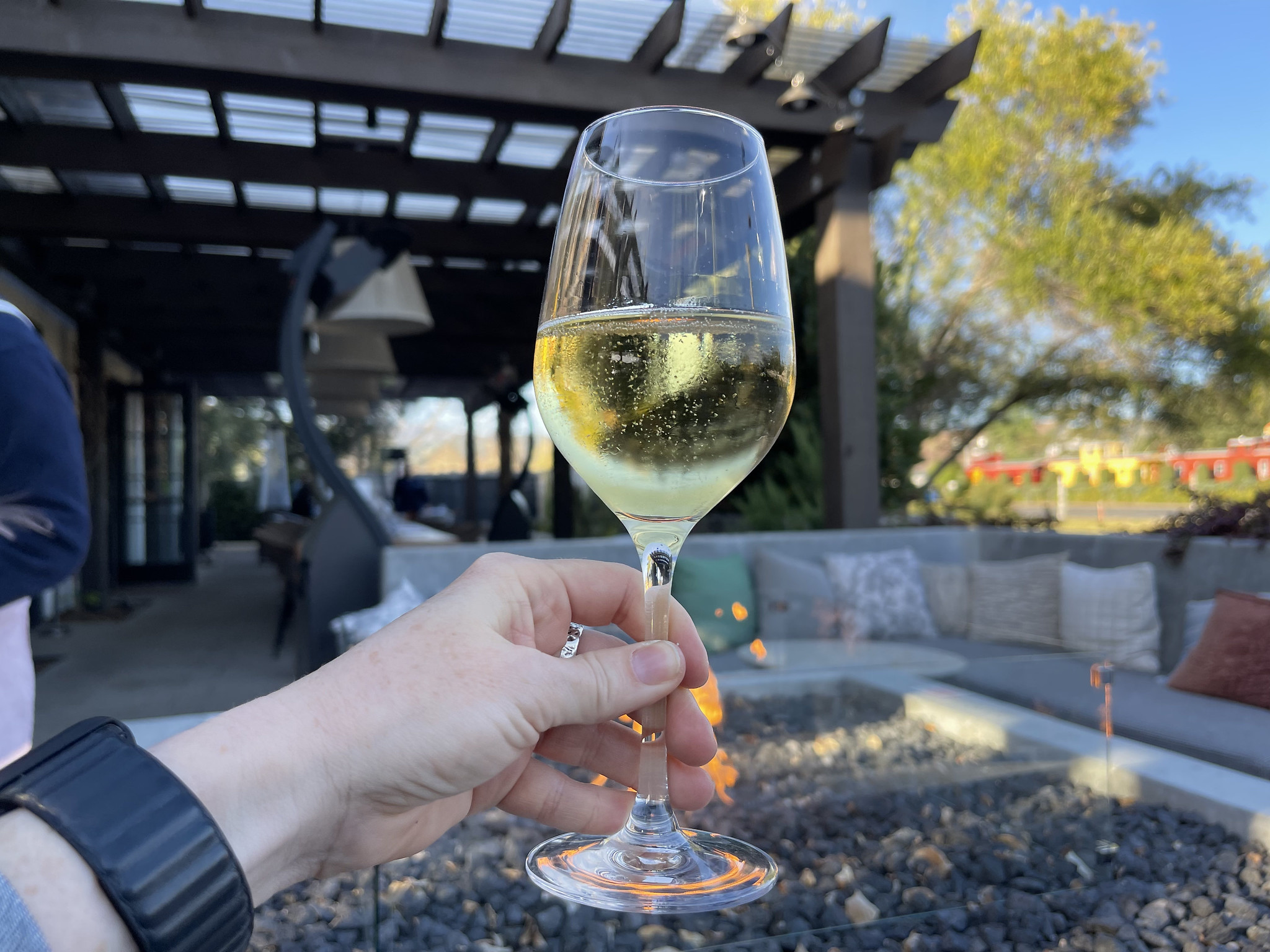 Champagne Blanc Grand cru     Millésimé Blanc de blancs Brut Non dosé - Vin Blanc - Photo de Sarah Stierch - 101Pairing.com