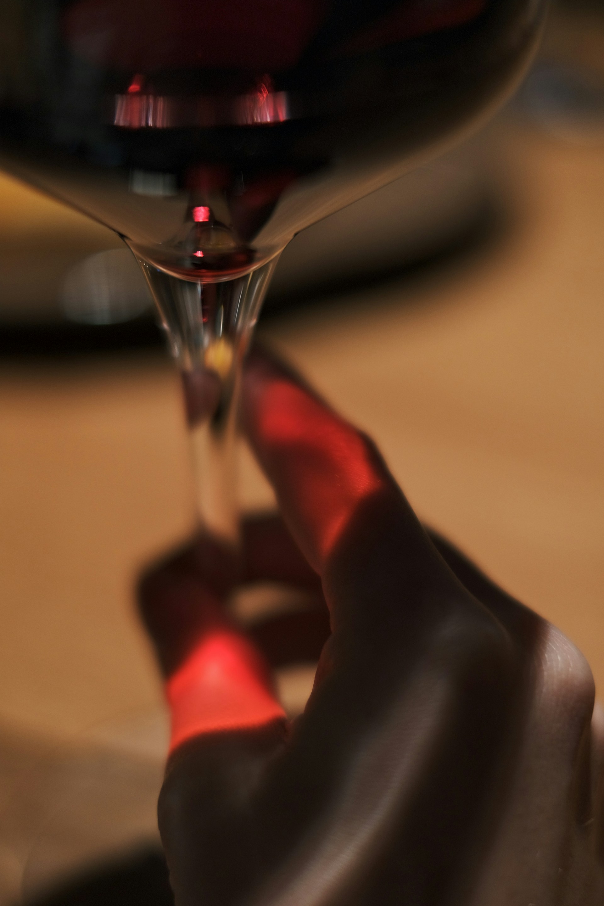 Anjou Villages Rouge - Vin Rouge - Photo de Nadin Mario - 101Pairing.com