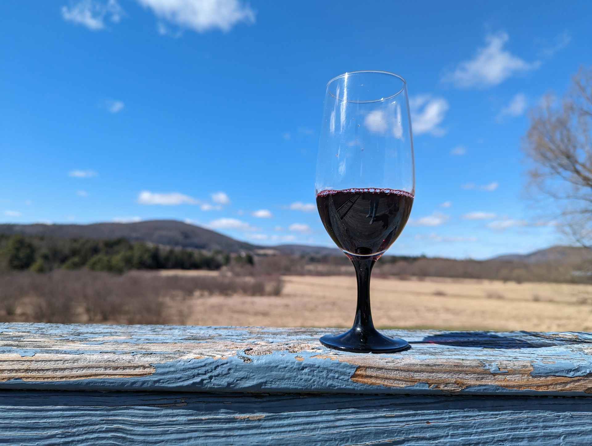 Coteaux varois en Provence Rouge - Vin Rouge - Photo de T R - 101Pairing.com