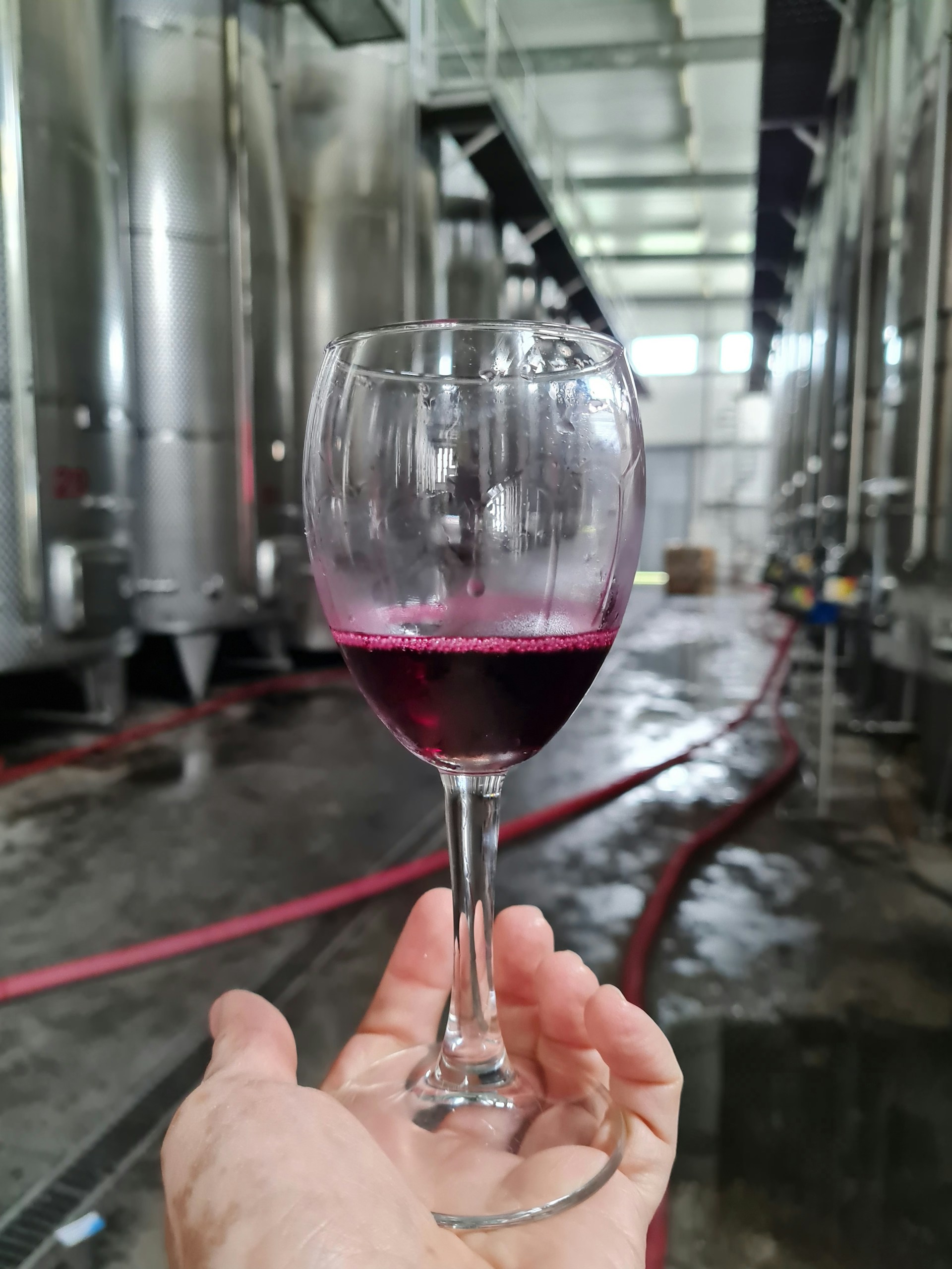 Meursault Rouge Premier cru - Vin Rouge - Photo de damoon katooei - 101Pairing.com